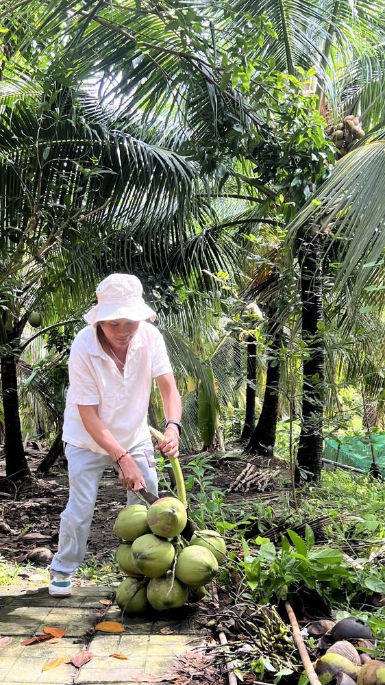 Chủ nhật về quê, hái một chút bình yên